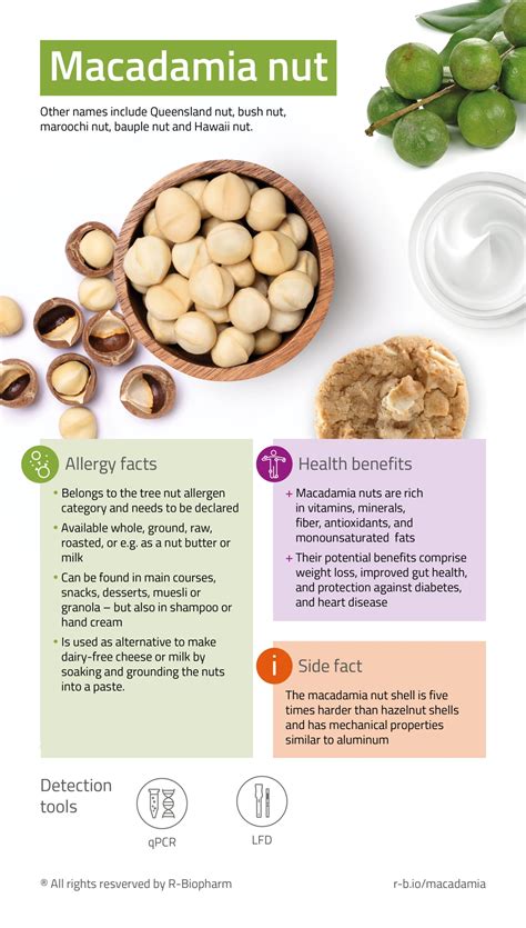 omega 3 in macadamia nuts